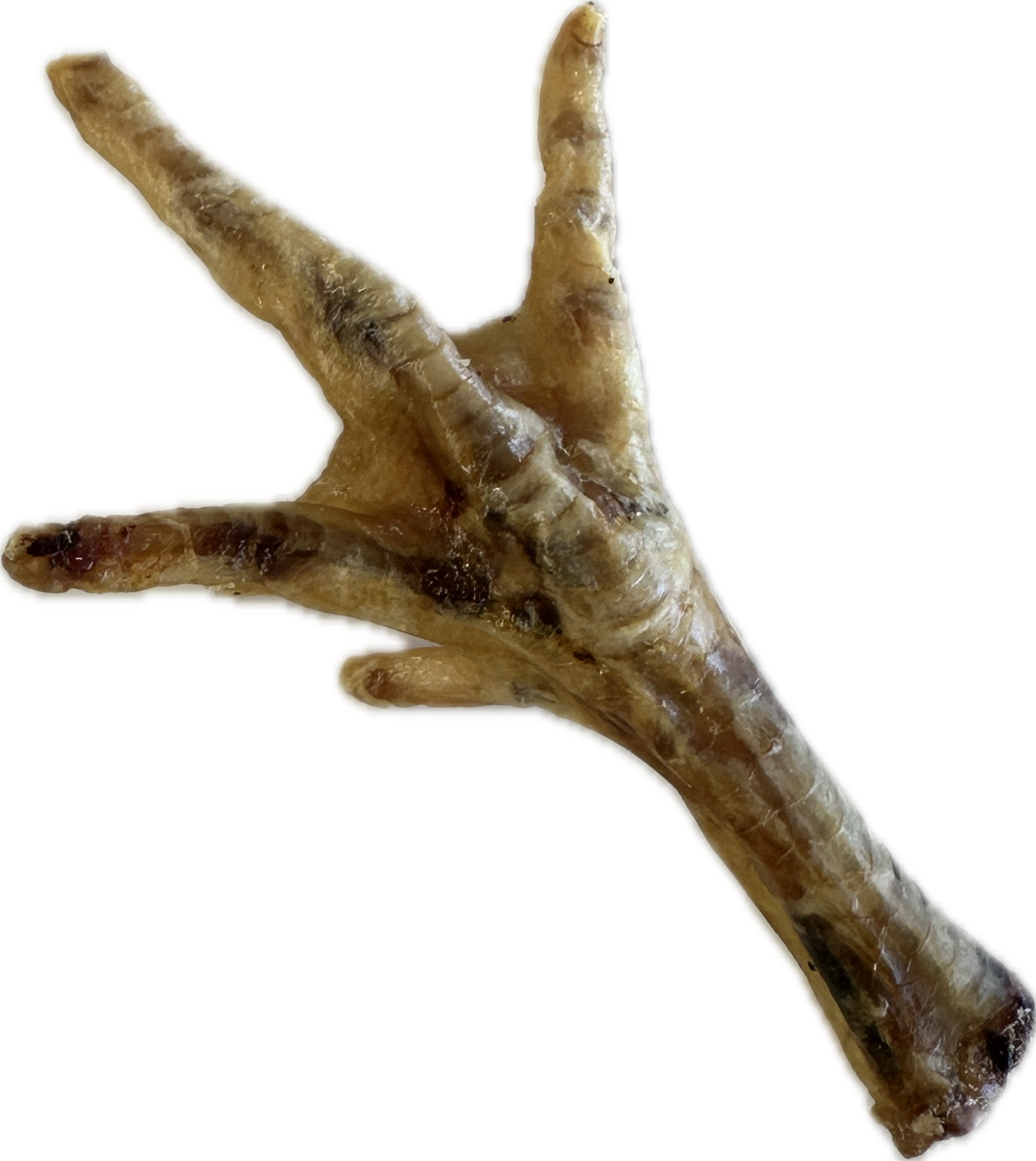 Chicken Feet (Brown)