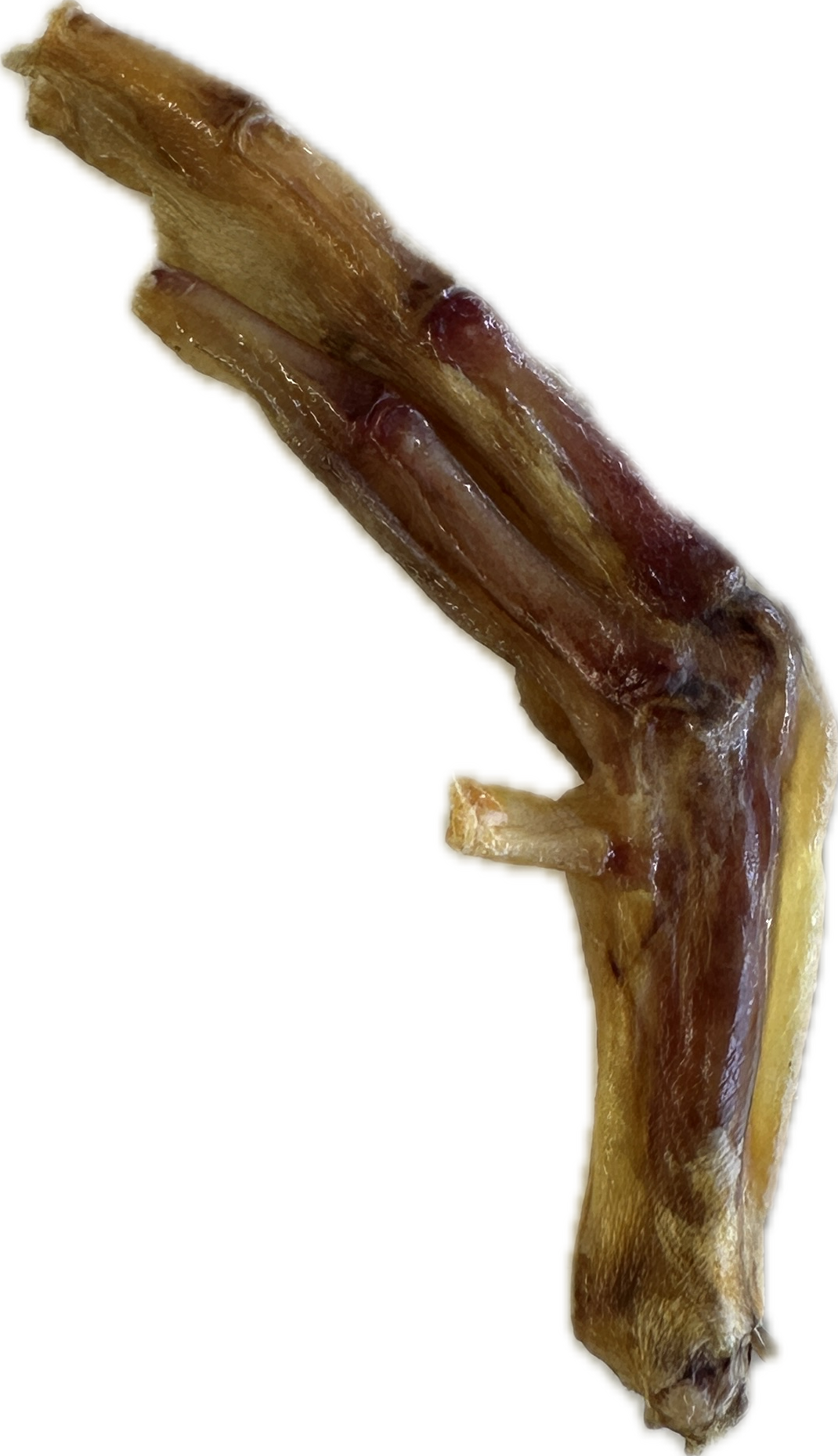 Duck Feet