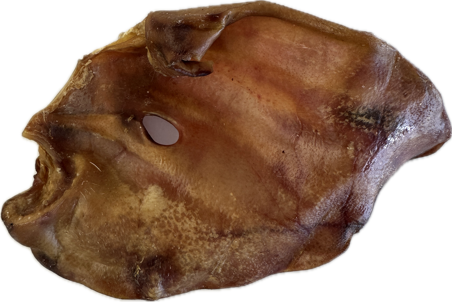 Pig Ear