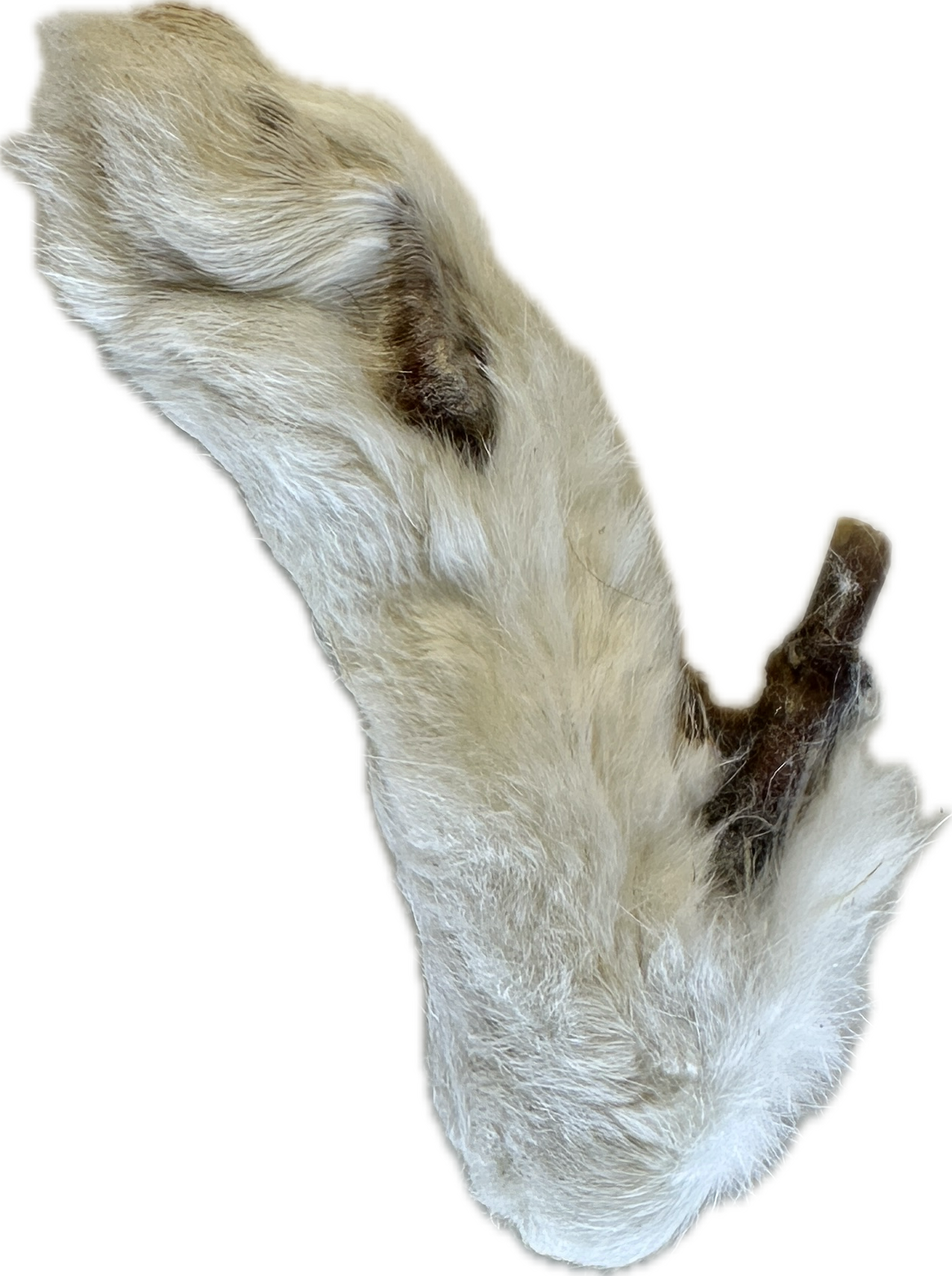 Rabbit Feet