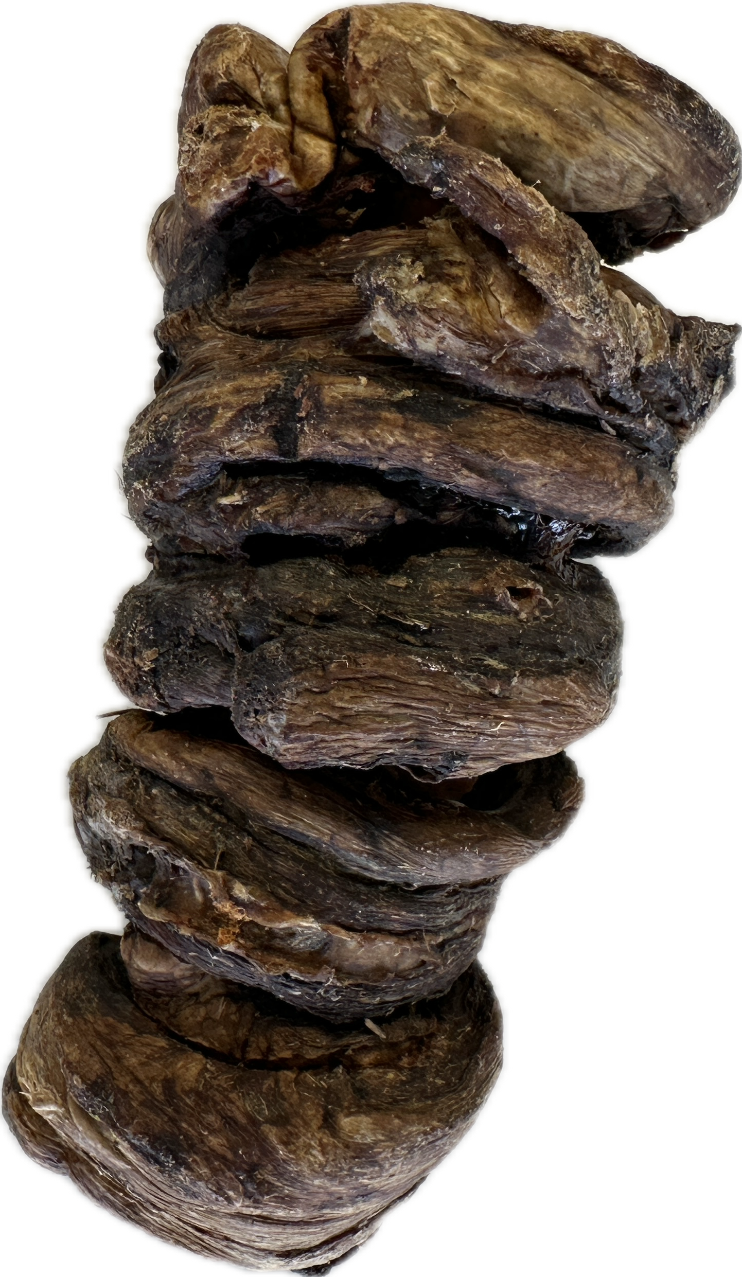 Wrapped Trachea