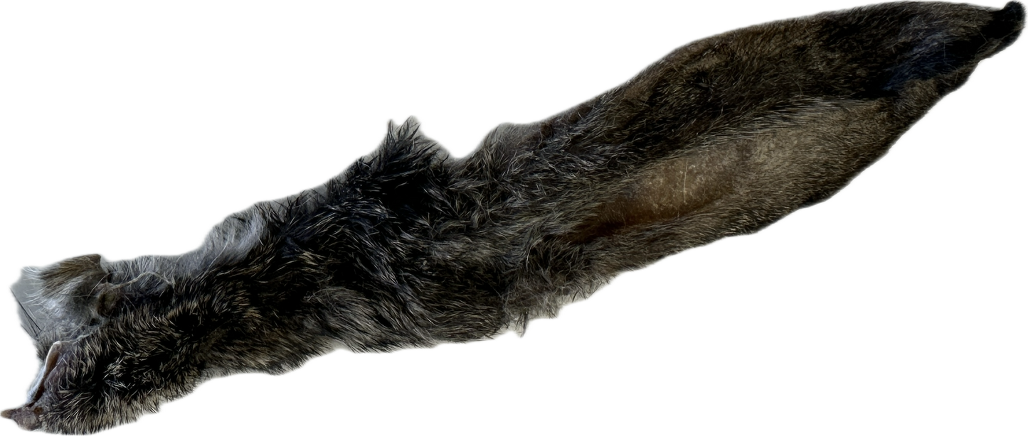 Rabbit Ear