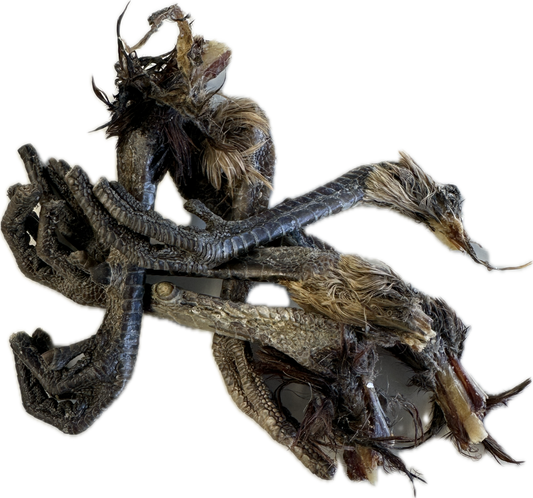 Pheasant Feet