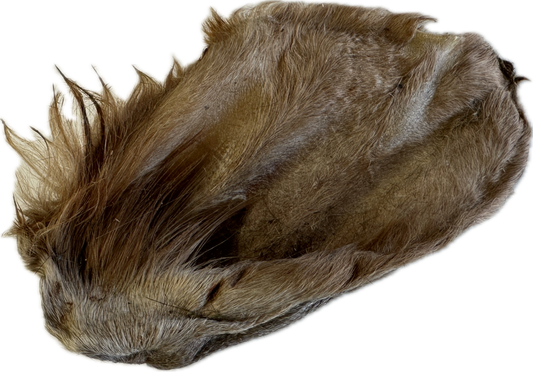 Cow Ear with Hair