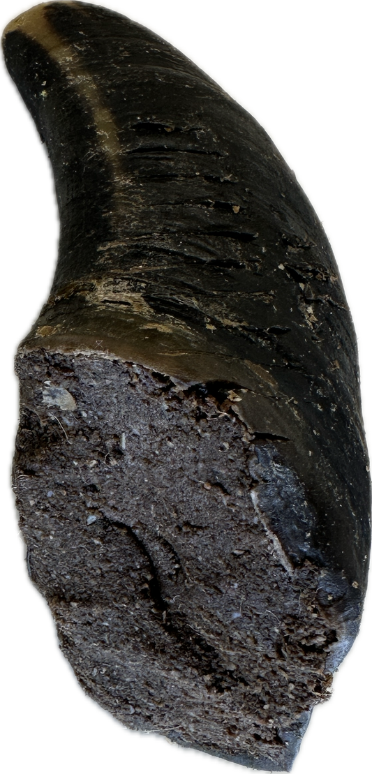 Filled Cow Hooves
