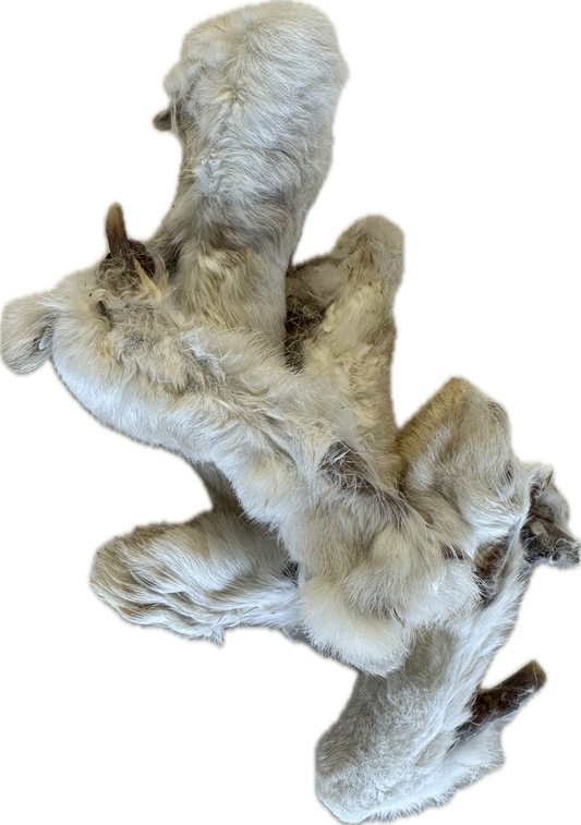 Rabbit Feet