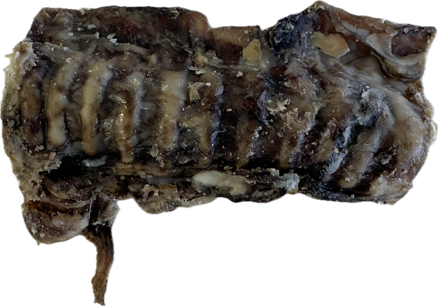 Filled Beef Trachea