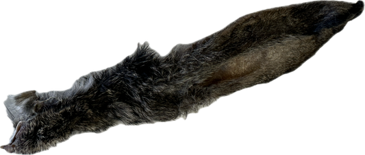 Rabbit Ear
