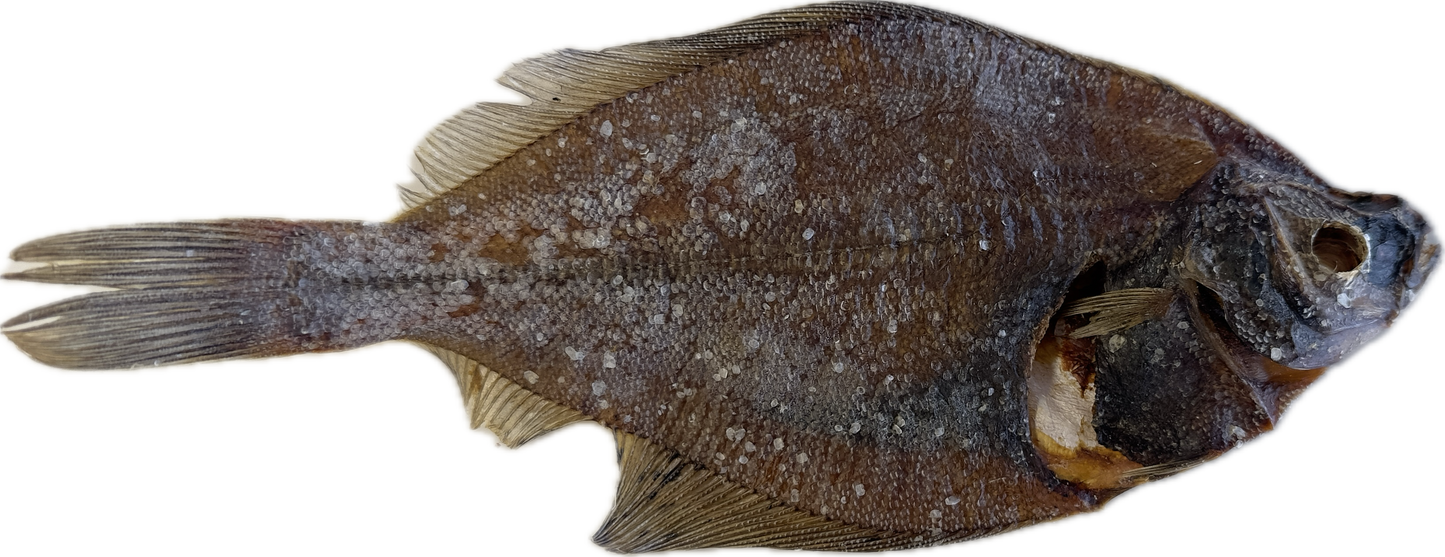 Whole Plaice