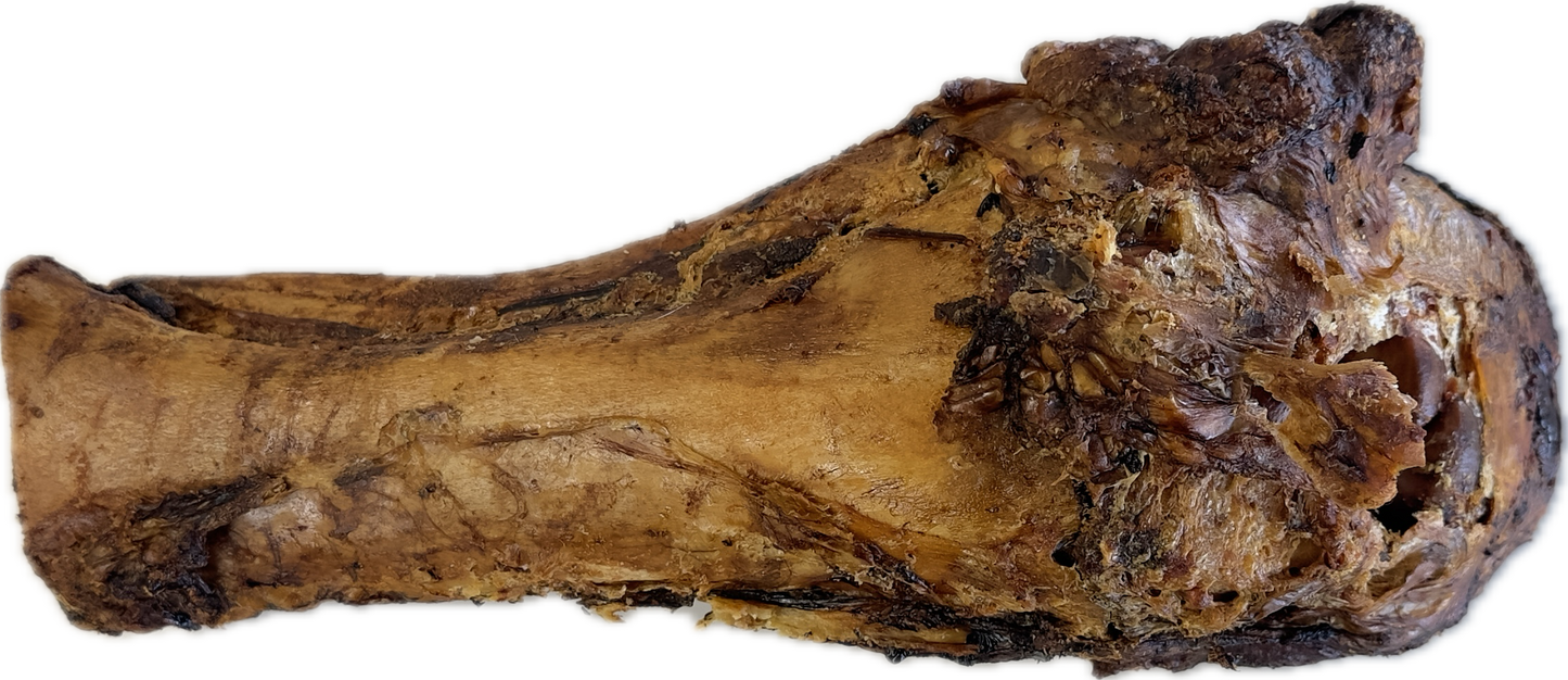 Whole Bones