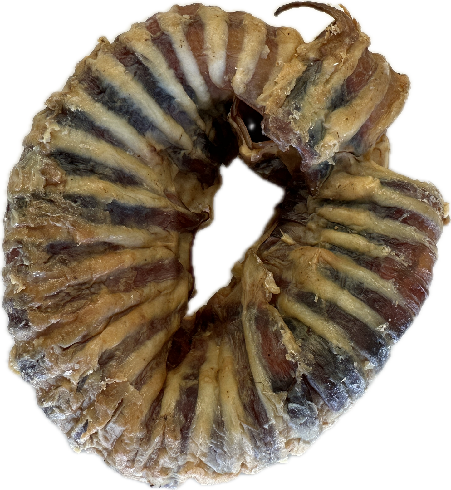 Large Beef Trachea Ring
