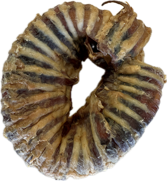 Large Beef Trachea Ring